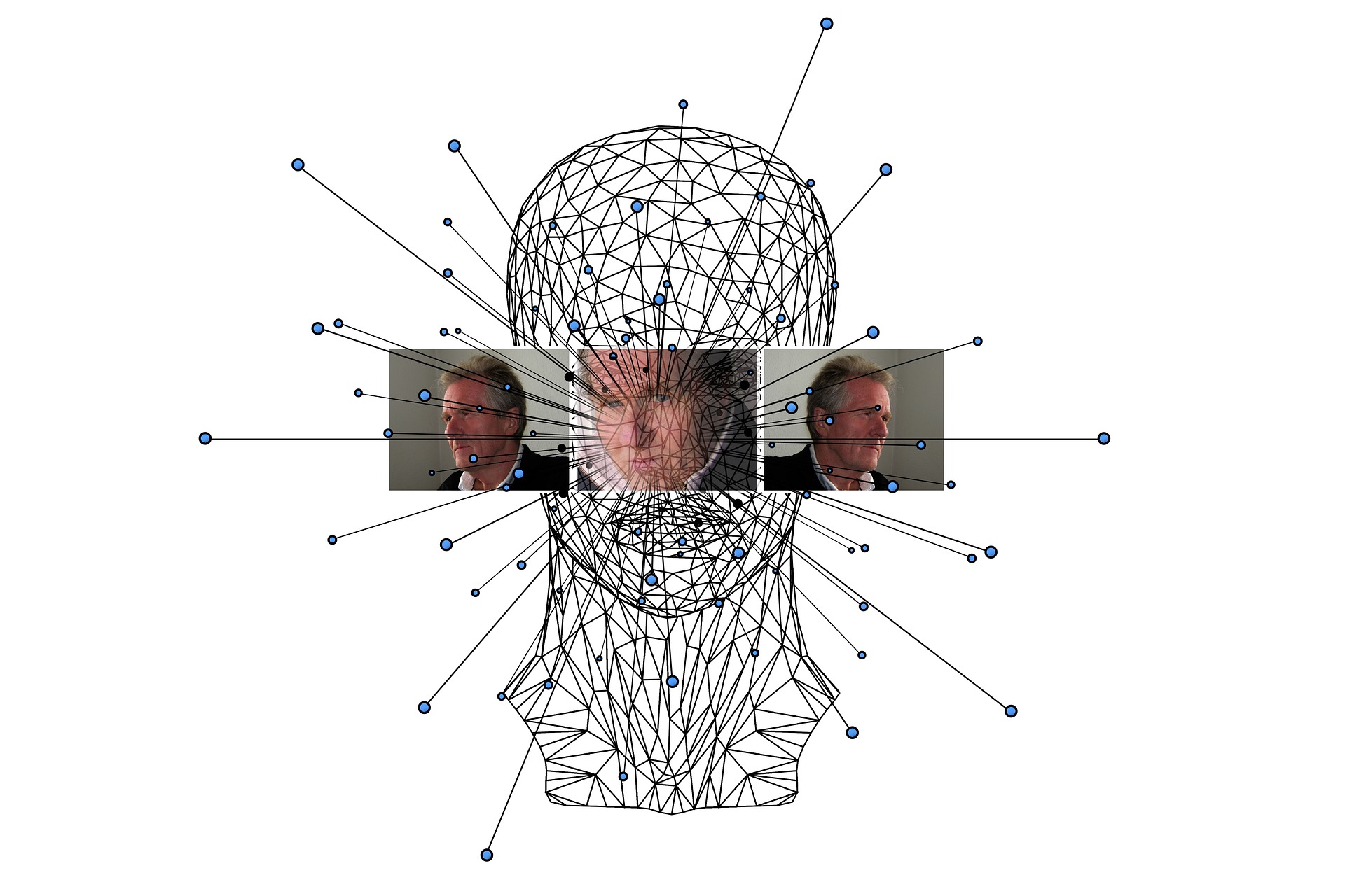 wireframe head with faces superimposed