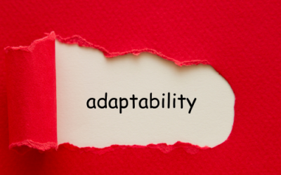 Demonstrating Adaptability on Your Resume