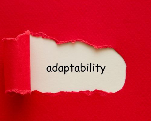 Demonstrating Adaptability on Your Resume